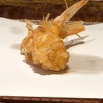 みかわ 是山居 - (写真追加)　車海老の頭。