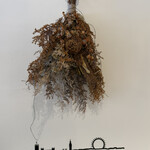 グッドラックコーヒー - 