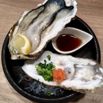 野良のまたたび - 