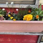 ライスカレー ぺろり - ホッとするね