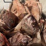 和風魚介出汁創作麺処 後関 - 鯛出汁の濃厚なラーメン