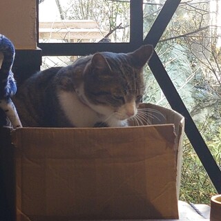 漱石珈琲店 愛松亭_1