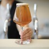 おたこビール