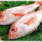 和風魚介出汁創作麺処 後関 - 旨みの塊、のどぐろ濃厚な味わい