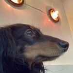 ブルー・ブランシュ - 