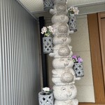 エコぽん太 - 石のたぬき縦収納から突き抜けてるし