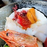 北海 - ウニ、イクラ、ホッキ貝、？貝、水蛸、有頭生エビ
