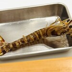 さいたま新都心 風凛 - 