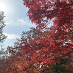 あぶり餅 本家 根元 かざりや - 