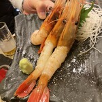 浜っ子 読売北海道ビル店 - 