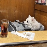 お好み 鉄板 居酒屋 DON - 