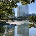 豆虎 - たったの数百円でこの景色が買えるよ⁉️