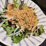 甲州料理と肉と旨い肴 個室居酒屋 炙 - パリパリ皿うどんサラダ