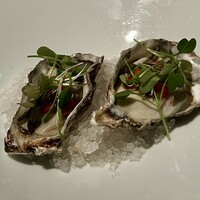 THE COSMOPOLITAN GRILL BAR TERRACE - 