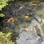 逢坂山 かねよ 本店 - 