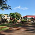 Dole Plantation - 【'14/12/29撮影】店内のテラス席の風景です