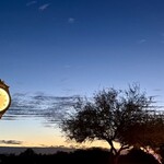 Isabella's Kitchen - 