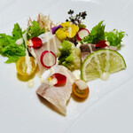 ホテル ビワ ドッグ - 