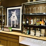 ホテル ビワ ドッグ - 