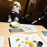 ホテル ビワ ドッグ - 