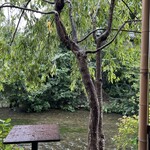 三味洪庵 本店 - 