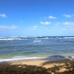 Dole Plantation - 【'14/12/29撮影】ハレイワ・アリイ・ビーチ・パーク(亀ビーチ)