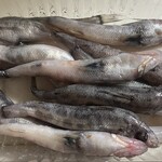 仙令平庄 国分寺店 - 