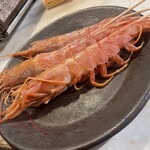 笑い酒場 たか真 - 