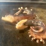 東京鉄板居酒屋 こだま - 