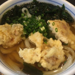 手打うどん すみた - かけのかしわ