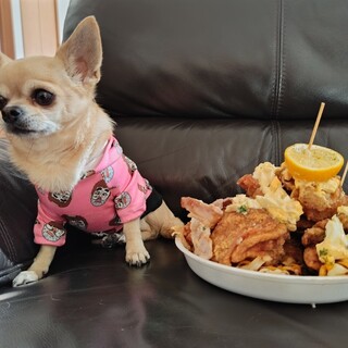 つやかのめぐちゃん_1