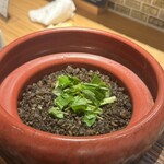 いけすと炭と薪焼と 博多 とりとりと - 