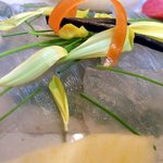 酒肴 和亭 - 今、一番味が乗っていますよね。この時期の寒鮃は身の締りも良く、甘味もあって美味しいんですよ。食べてみると美味しい！！