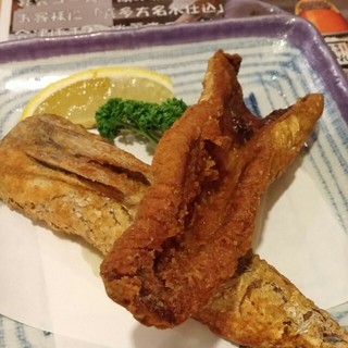 こちら丸特漁業部_1