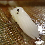 鮨匠 のむら - 赤イカ