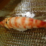 鮨匠 のむら - 車海老