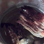 手打そば むらやま - ひれ酒（越乃景虎）