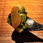 トムクリオーザ - 