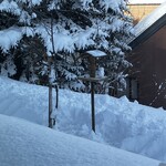 そば処 藤乃屋 - 