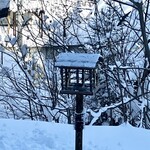 そば処 藤乃屋 - 