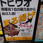 「屋久島で民宿やっていました」 - 