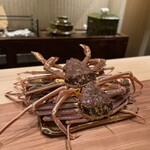 料理屋 みや﨑 - 