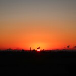 ほかほか弁当 - 2026年 初日の出！