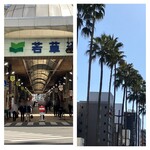 そばや哲心 - 近くのアーケード　表道路の街路樹　ヤシの木？