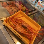 マリンドリーム能生 - 