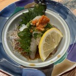 SUSHI OSAKA Organic - 