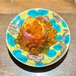 ニュー新みかん - 