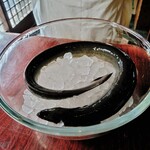 麟 - 『調理前のうなぎ』