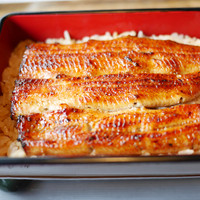 鰻割烹 伊豆栄 本店 - うな重