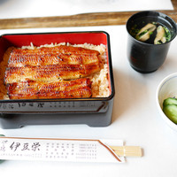 鰻割烹 伊豆栄 本店 - うな重